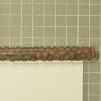 column  