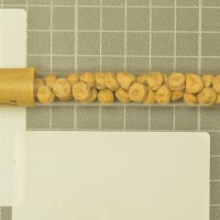 column  