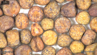 column seed