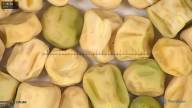 column seed
