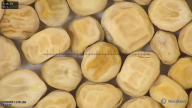 column seed