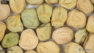 column seed