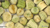 column seed