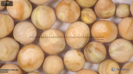 column seed