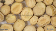 column seed