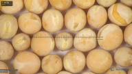 column seed