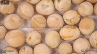 column seed