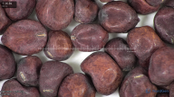 column seed