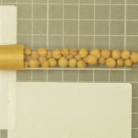column  
