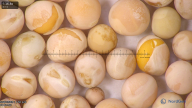 column seed