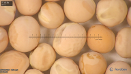 column seed