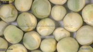 column seed