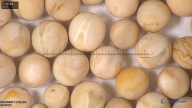 column seed