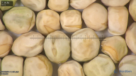 column seed