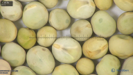 column seed