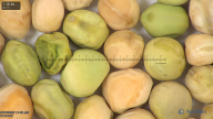column seed