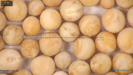 column seed