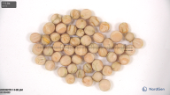 column seed