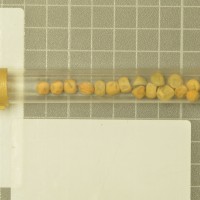 column  
