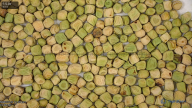 seed