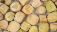 column seed