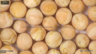column seed