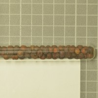 column  