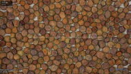 seed