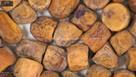 column seed
