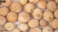 column seed