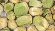 column seed