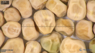 column seed