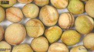 column seed
