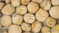 column seed