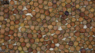 seed