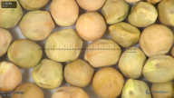 column seed