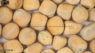 column seed