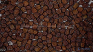 seed