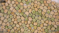 column seed