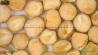 column seed
