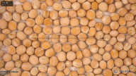 seed