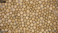 column Seed