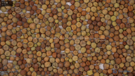 seed