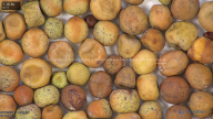 column seed