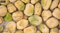 column seed