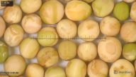 column seed
