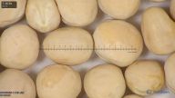 column seed