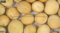 column seed