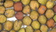 column seed