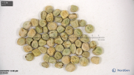 column seed